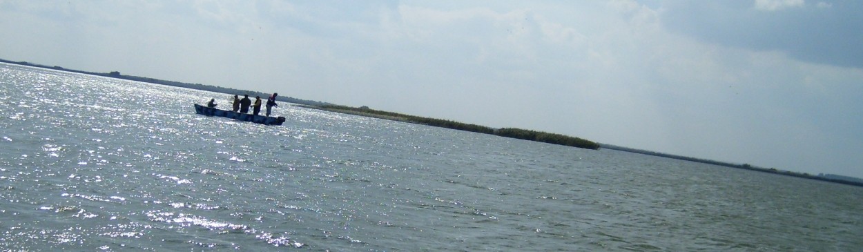 Danube Delta birdwatching